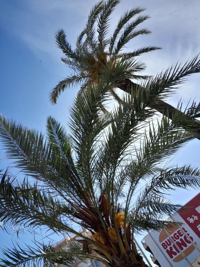 Stylowy Apartament Harmonia Playa Del Cura, Hiszpania Apartment Торевиеха Екстериор снимка